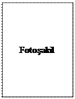 Надпись: Fotoşəkil